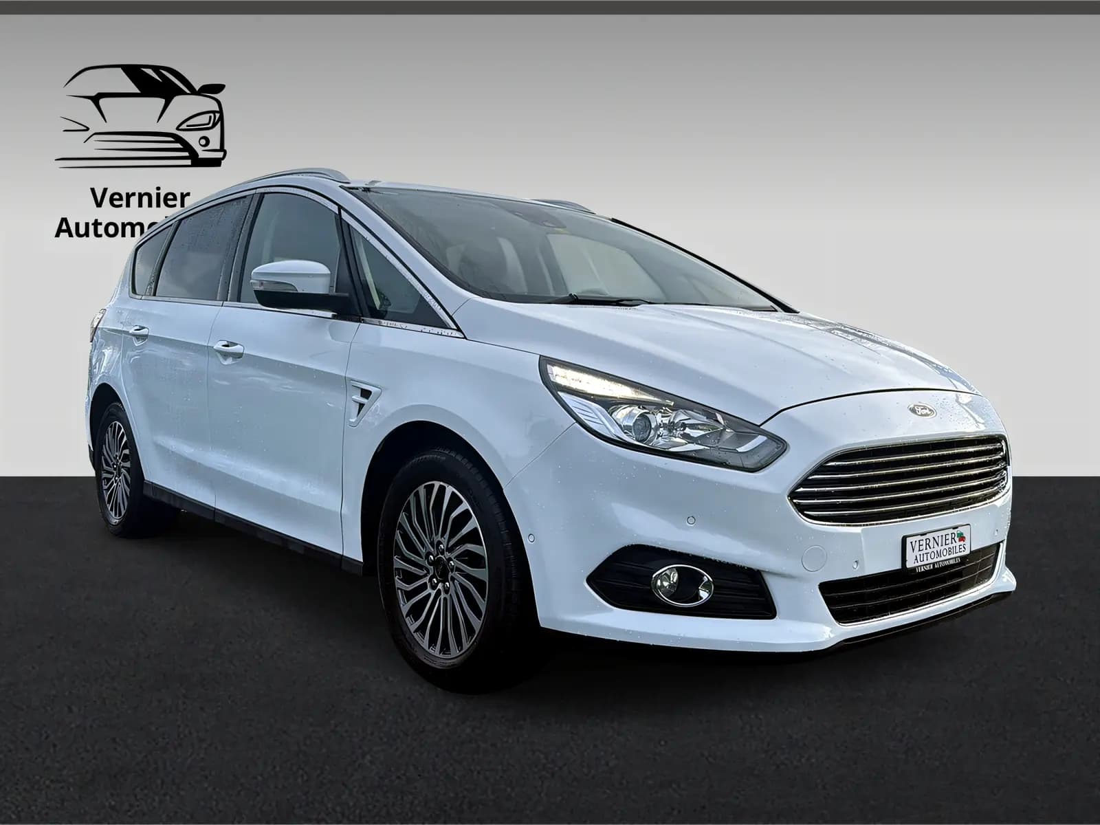 Ford S-MAX 2.0 TDCi Vignale — Monospace 7 places, diesel efficace, très bon état — Außenansicht