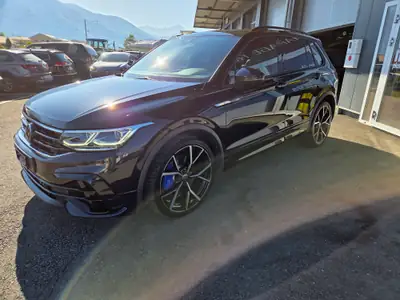 Volkswagen Tiguan R — vista posteriore