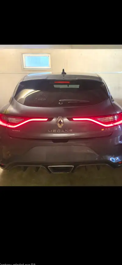 Renault Megane RS EDC — Seitenansicht