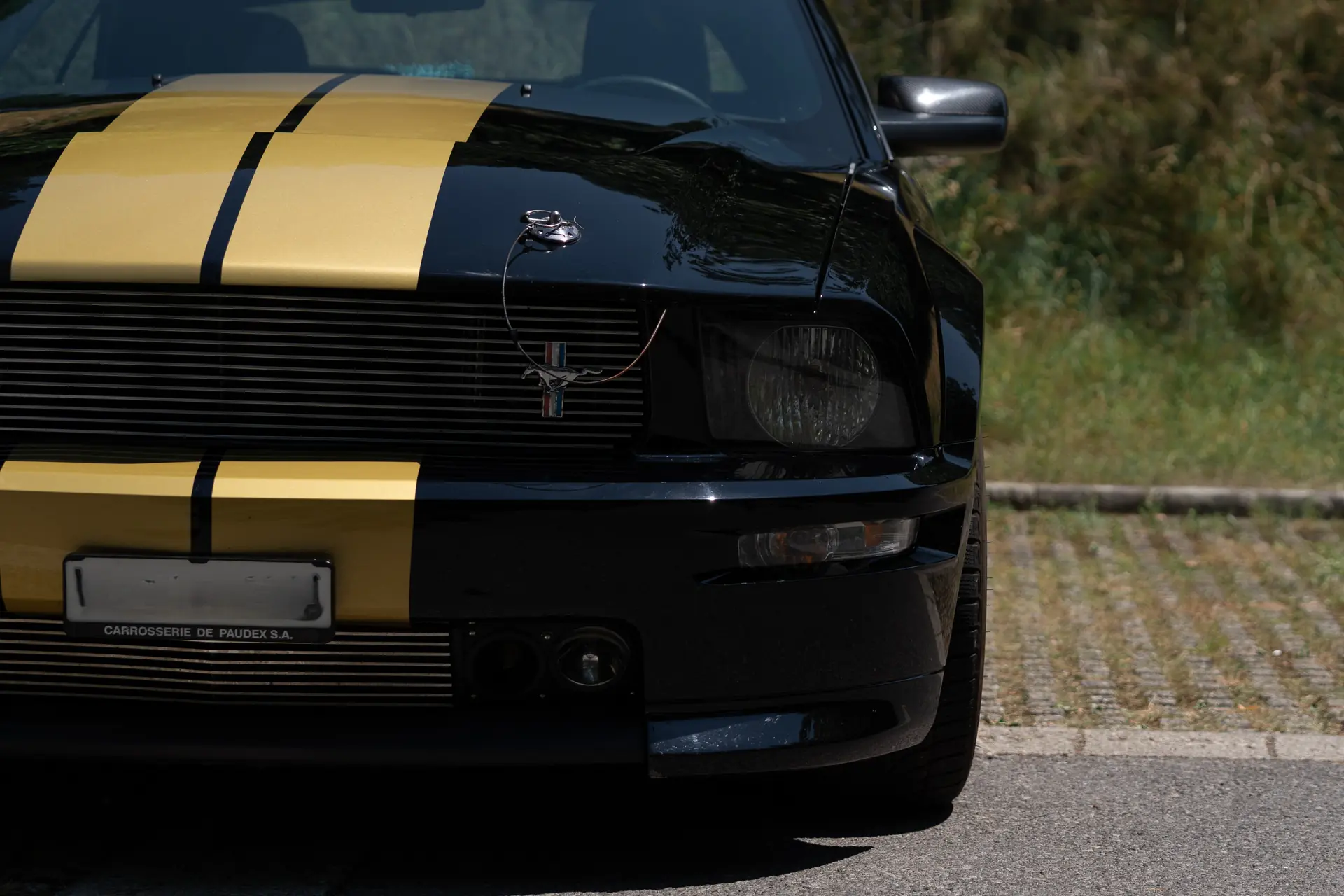 Ford Mustang 2007 occasion Granges-de-Vesin — 1