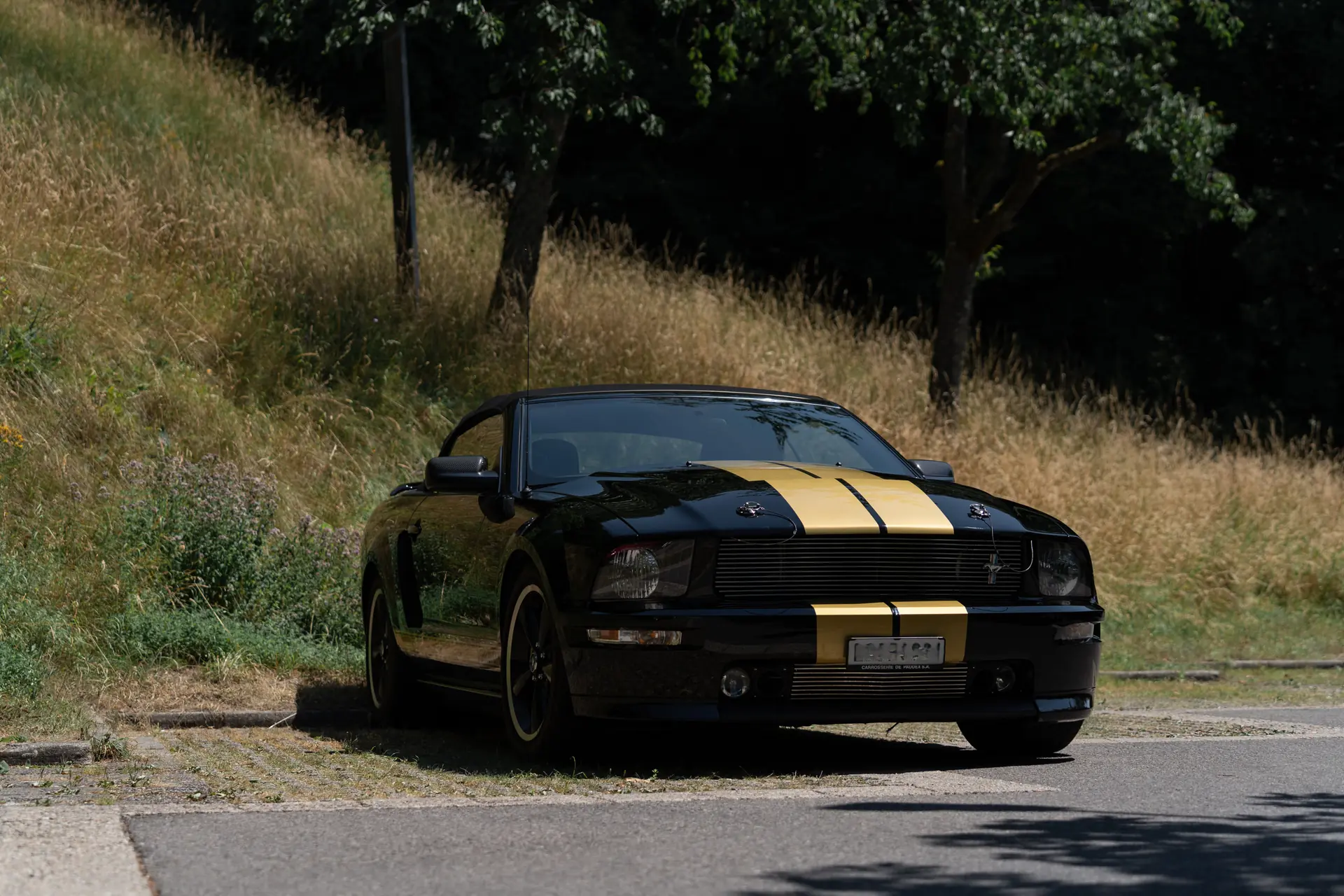 Ford Mustang 2007 occasion Granges-de-Vesin — 3