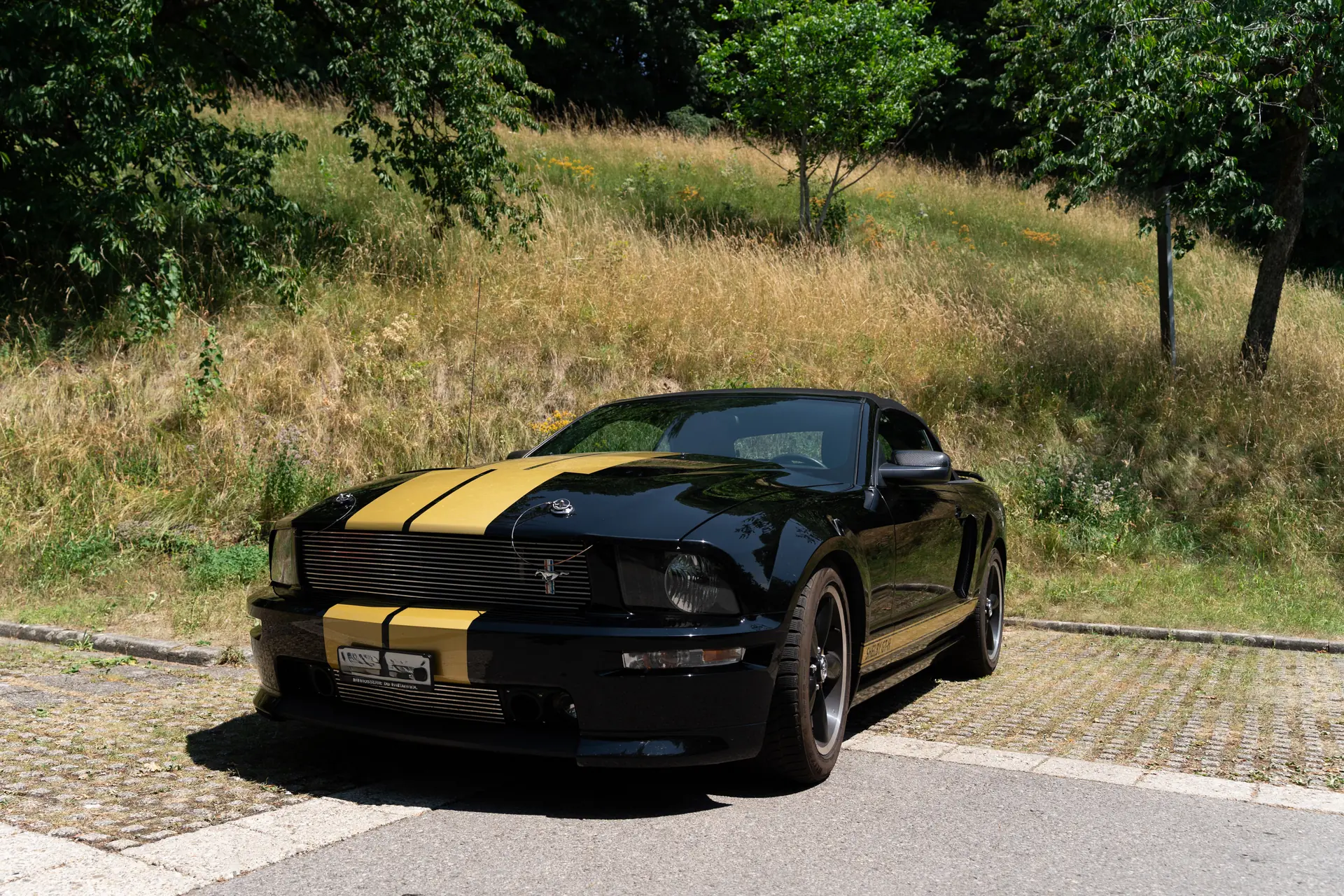 Ford Mustang 2007 occasion Granges-de-Vesin — 5