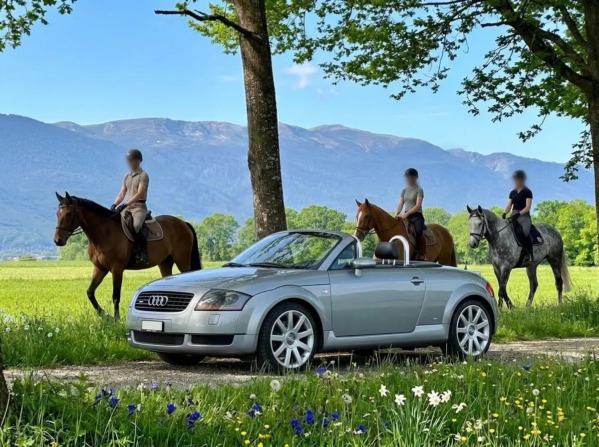 Audi TT 1.8T Roadster