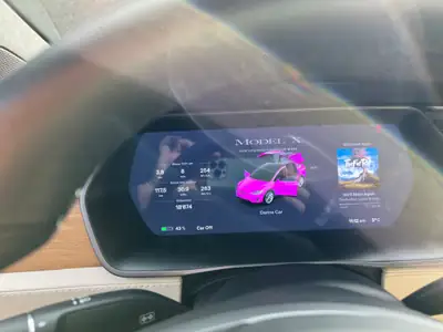 Tesla Model X Performance — SUV électrique 796 ch, seulement 31 500 km — Detail