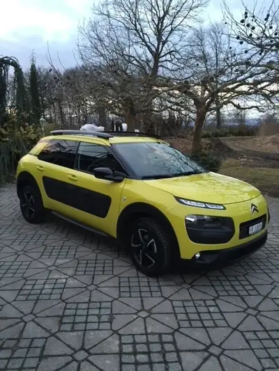 Citroën C4 Cactus 1.6 BlueHDi Shine — SUV urbain économe, 129 000 km — arrière