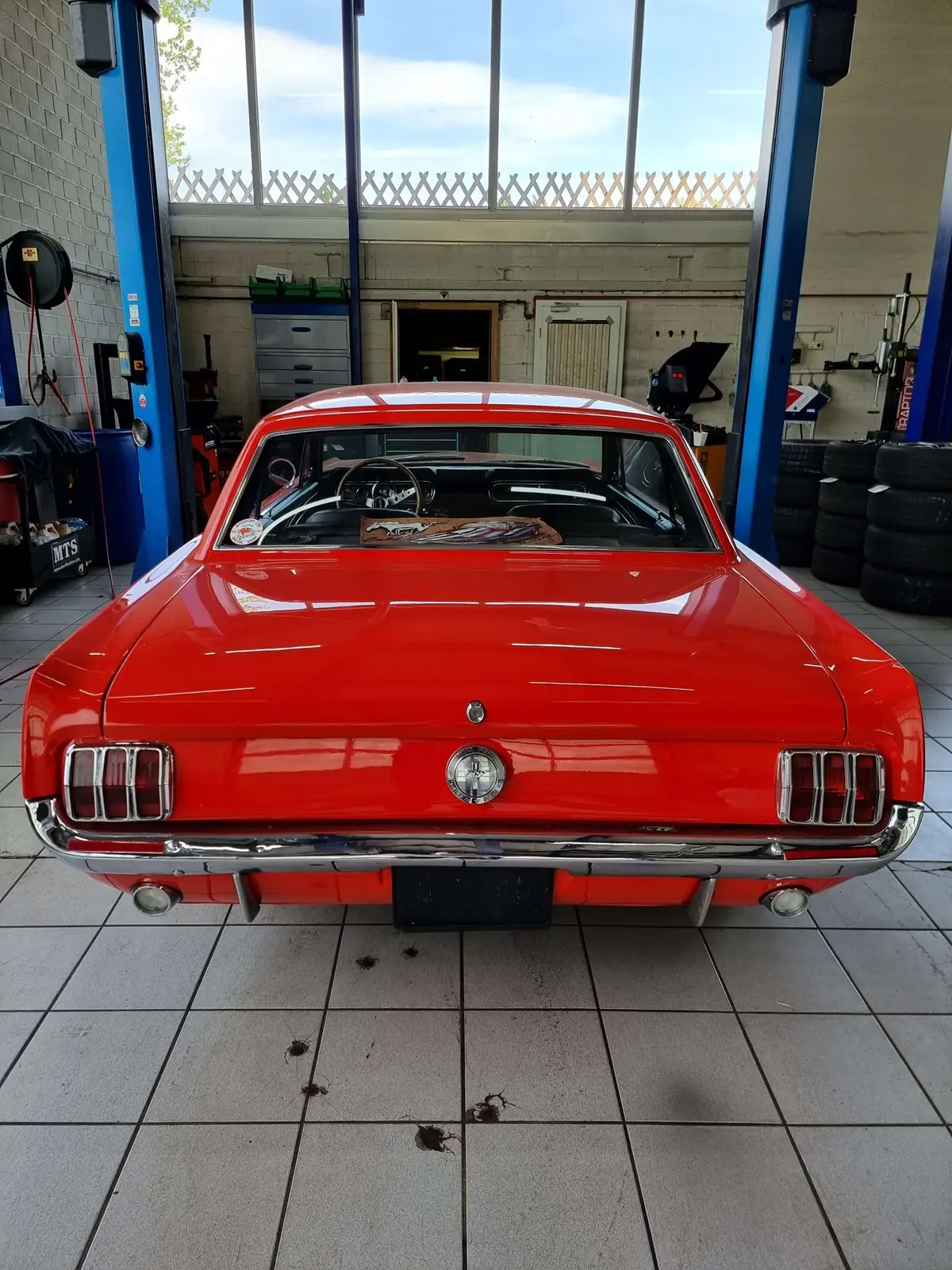 Ford Mustang 1966 occasion Niederbipp — 4