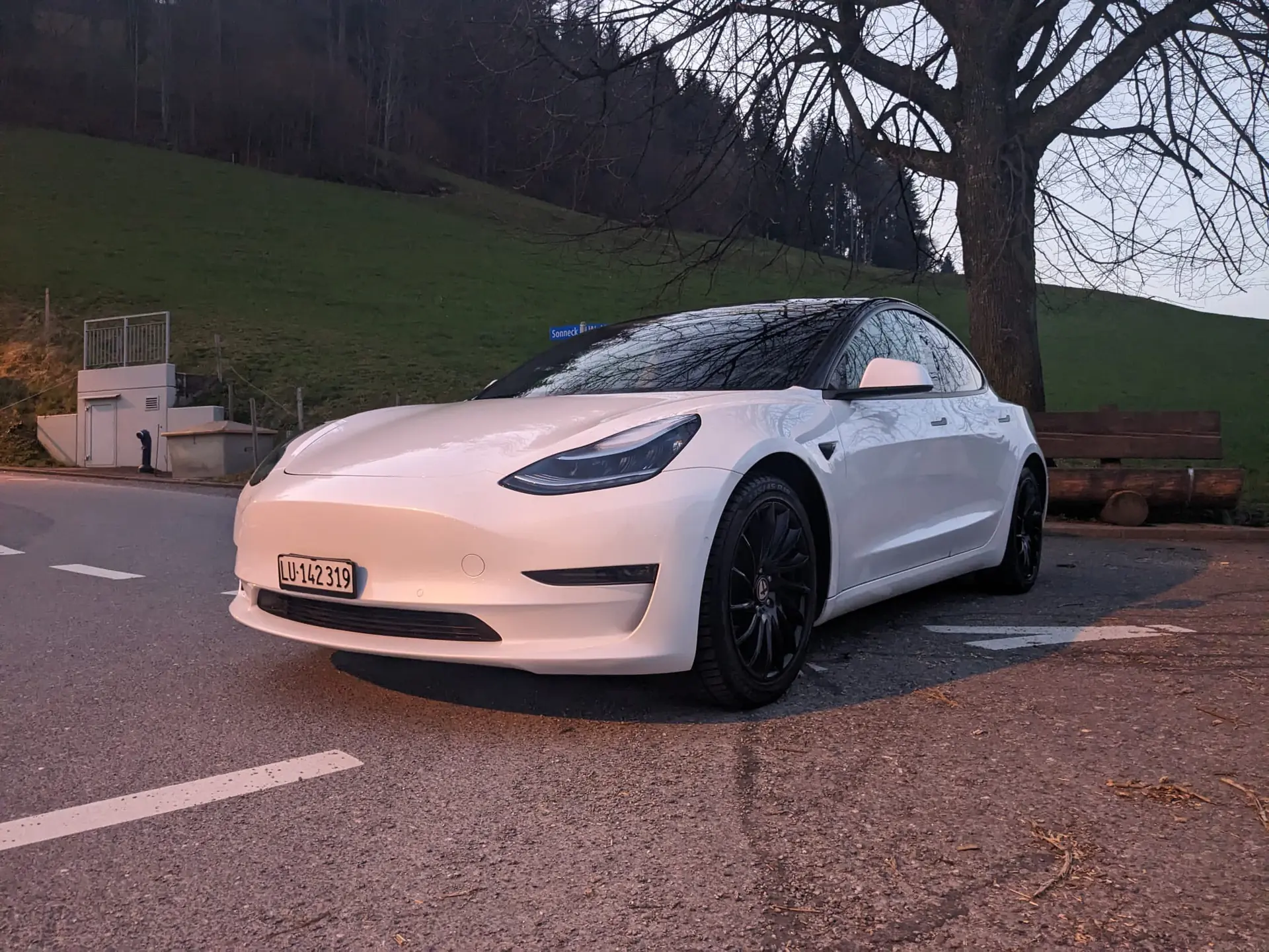 Tesla Model 3 2020 occasion Wohlhusen — 2