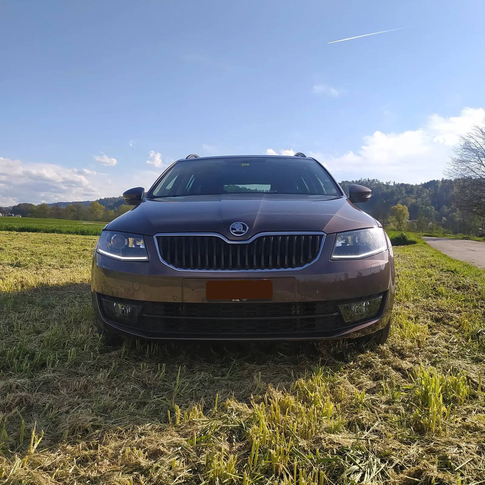 Skoda Octavia 2017 occasion Schöftland — 2