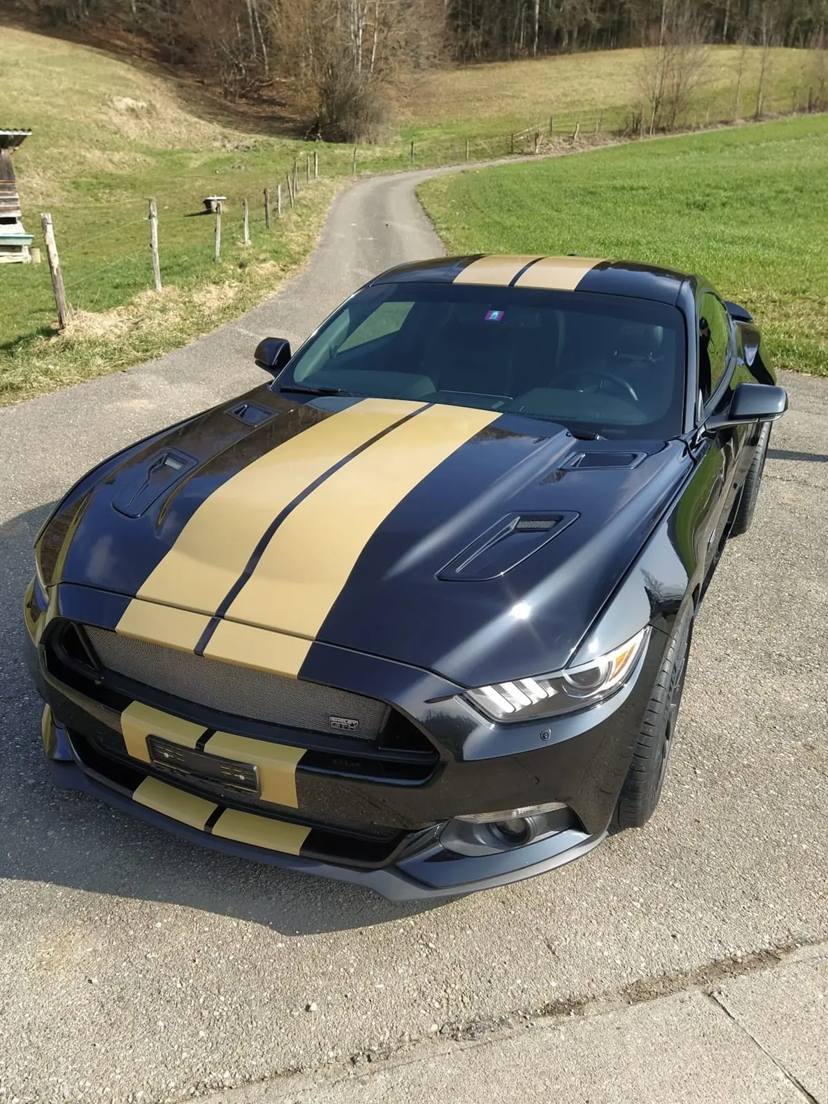 Ford Mustang Shelby GT-H 5.0 V8 — Légende Hertz authentique, 45'000 km seulement — vista esterna