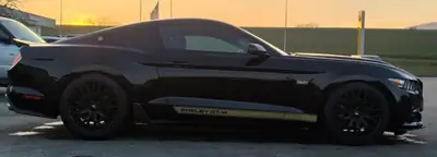 Ford Mustang Shelby GT-H 5.0 V8 — Légende Hertz authentique, 45'000 km seulement — cruscotto