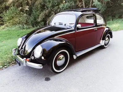 VW Käfer Ovali 1953 — Une légende de l'automobile, état exceptionnel — vue extérieure