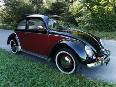 VW Käfer Ovali 1953 — Une légende de l'automobile, état exceptionnel — côté