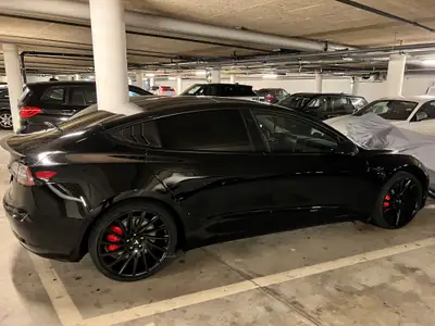 Tesla Model 3 Performance Dual Motor AWD — Électrique haute performance, 42 000 km — vista posteriore