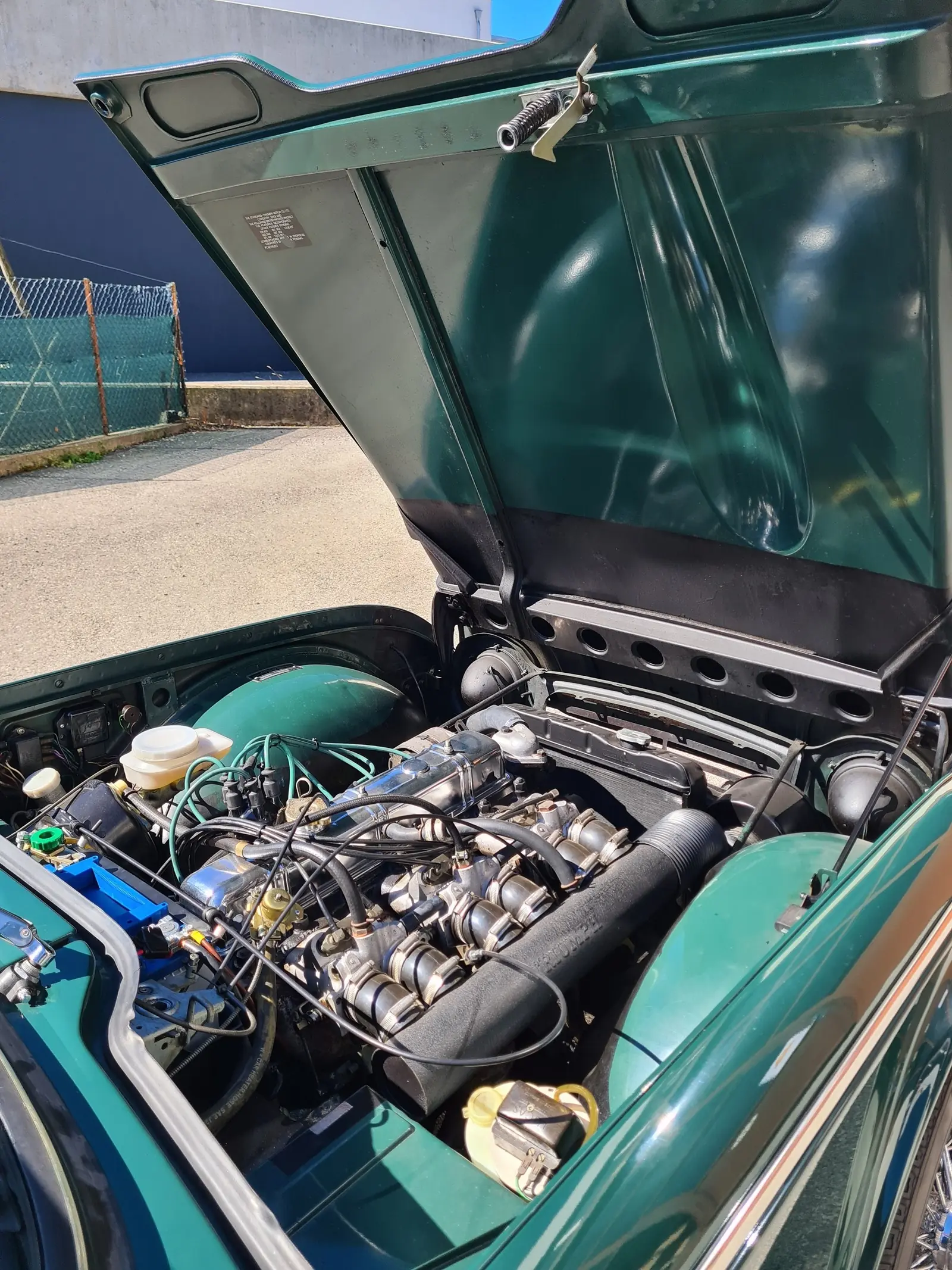 Triumph Tr5 1968 occasion Ligornetto — 5