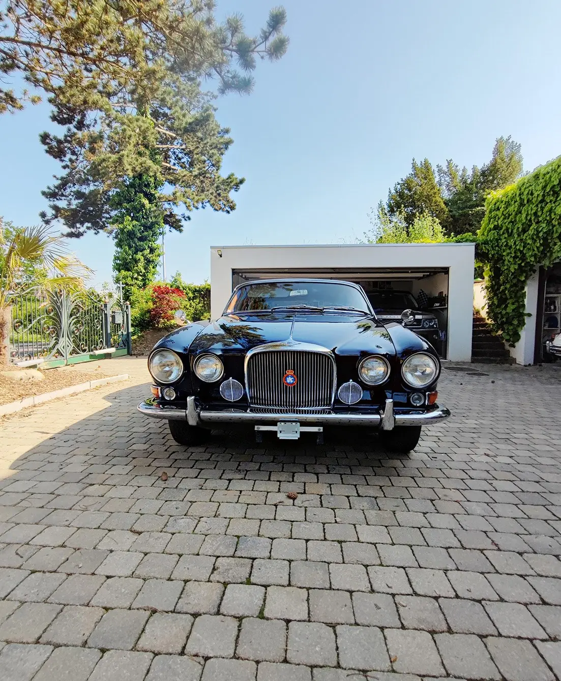 Jaguar Mk X 1964 occasion Bergdietikon — 3