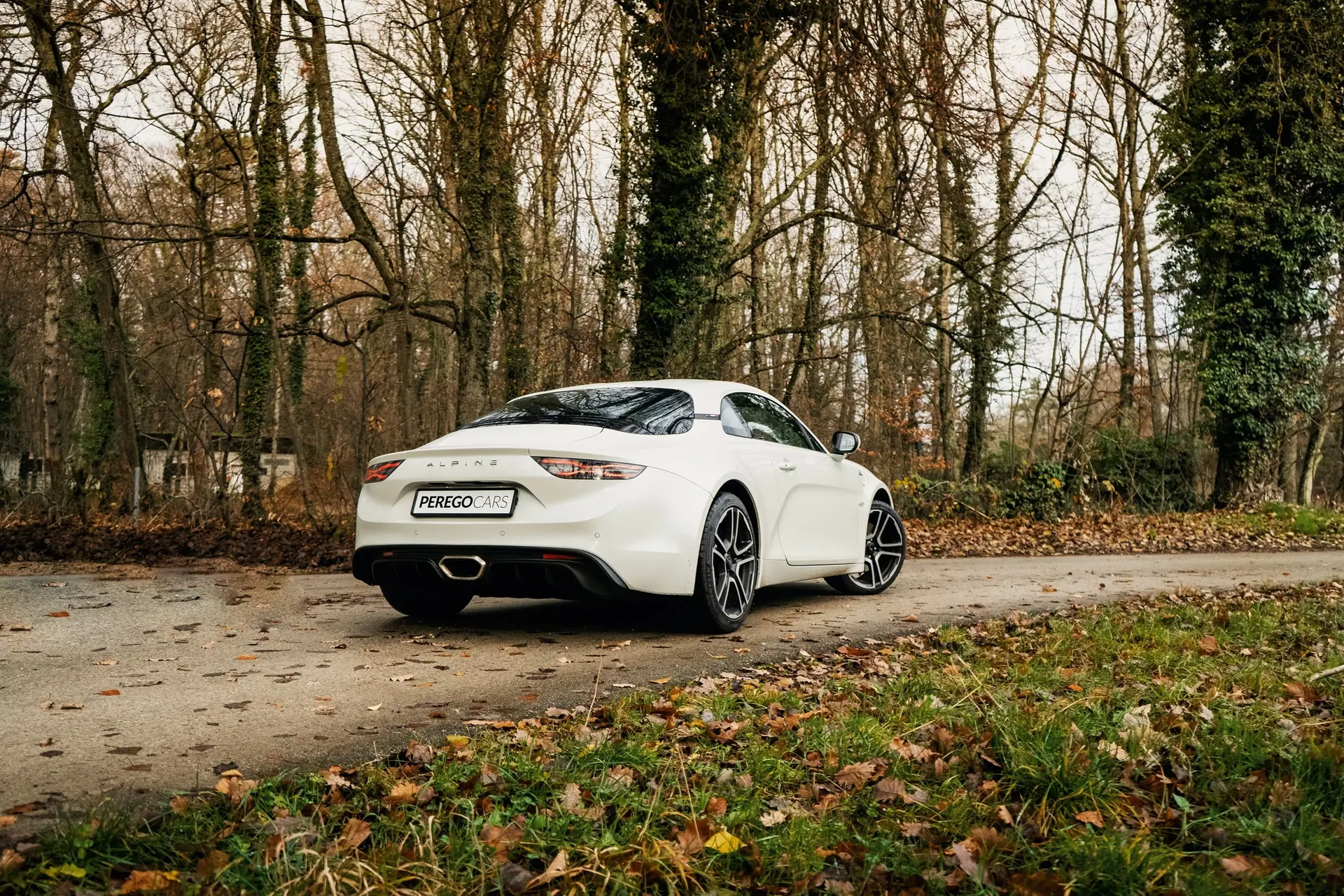 Alpine A110 2018 occasion Zug — 3