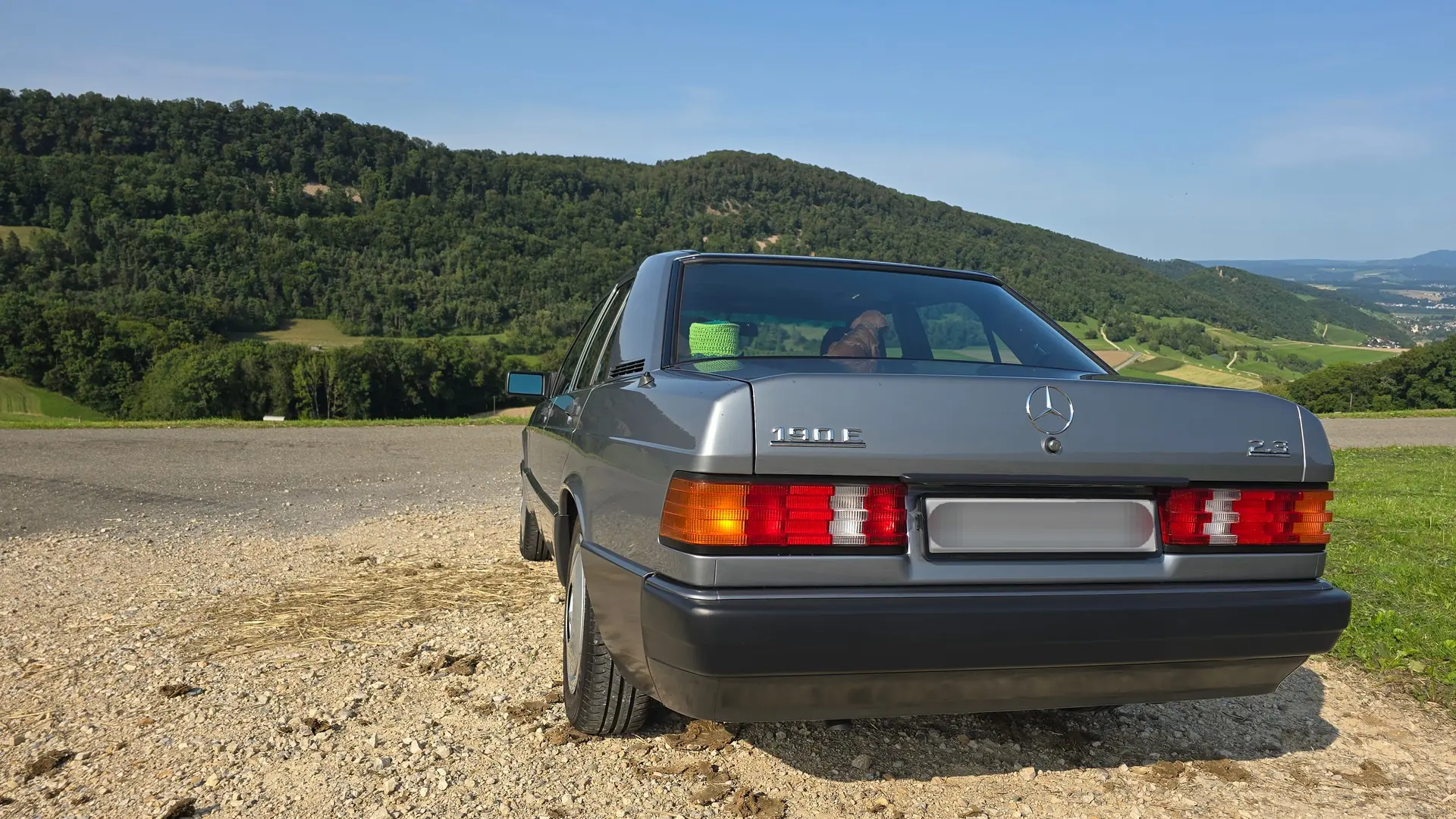 Mercedes-Benz 190 1989 occasion Gretzenbach — 5