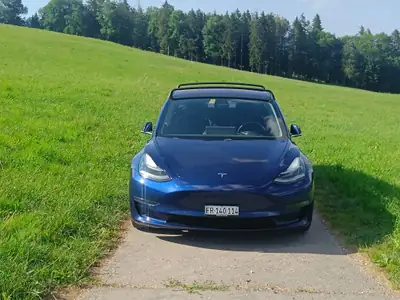 Tesla Model 3 Long Range Dual Motor AWD — Performance électrique 462 ch, 92'000 km — Miniature 10