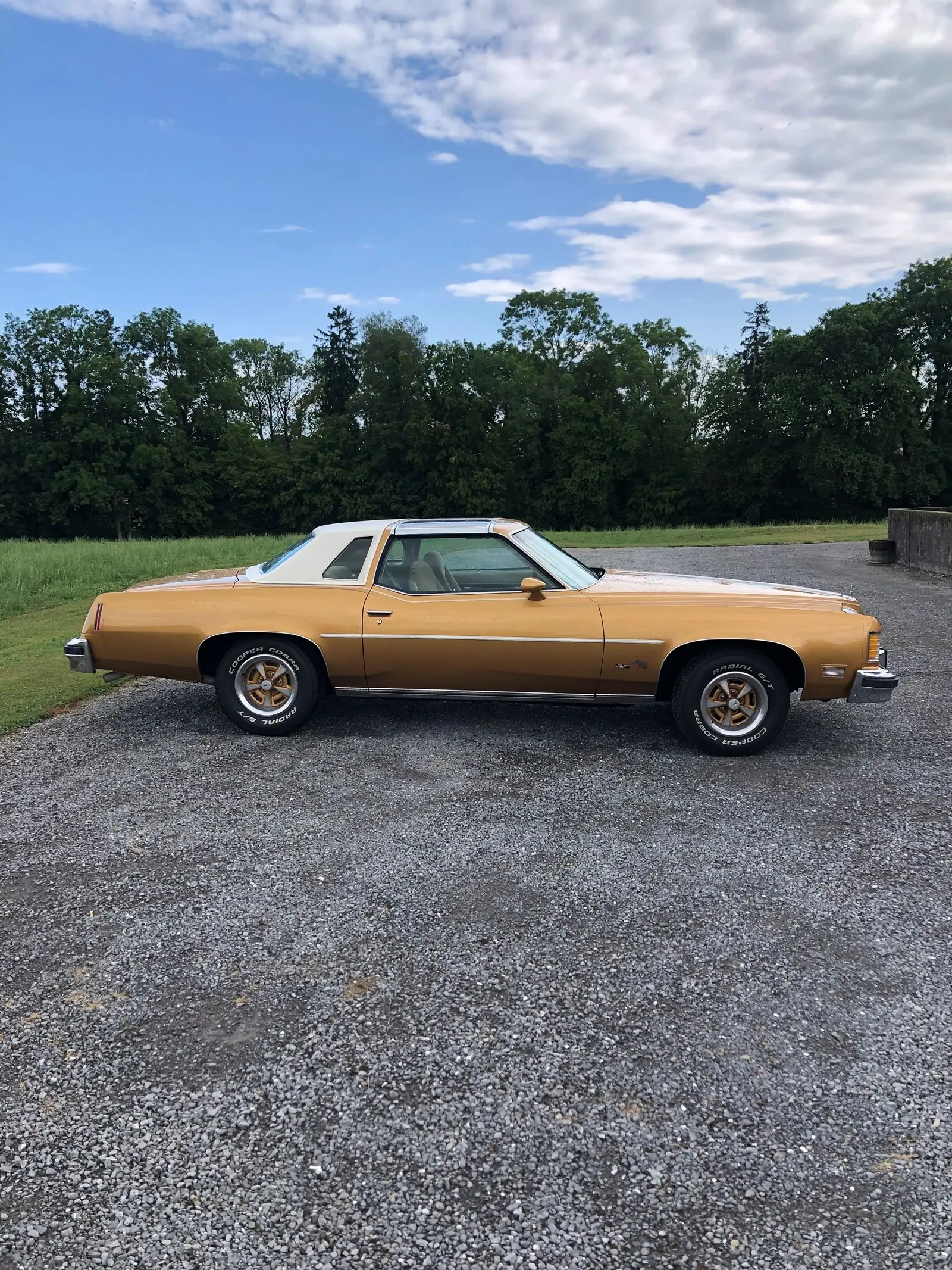 Pontiac Grand Prix 1976 occasion Roggwil — 2