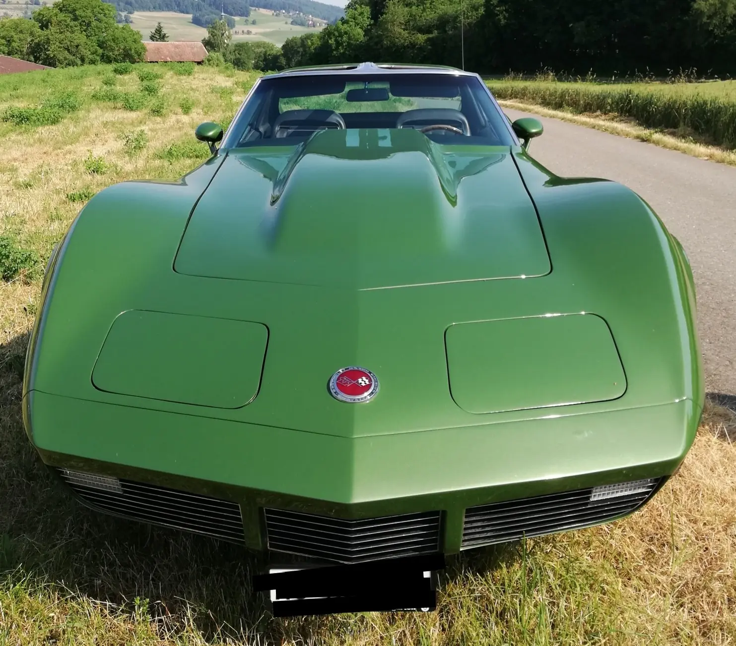Chevrolet Corvette 1973 occasion Sarmenstorf — 3