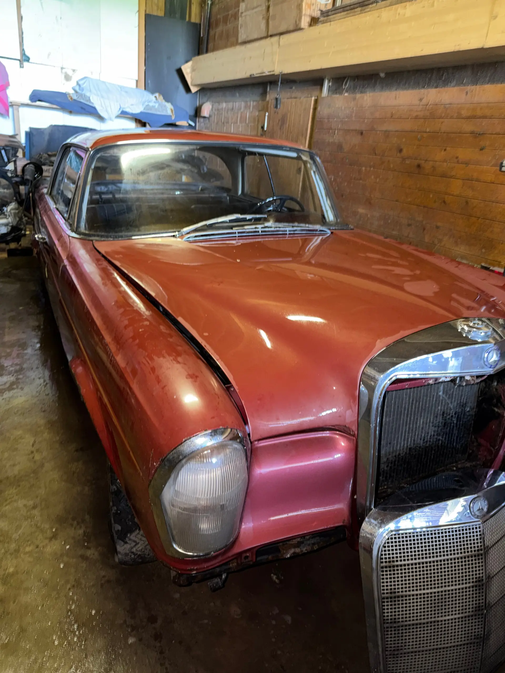 Mercedes-Benz 230 1961 occasion Luzern — 2