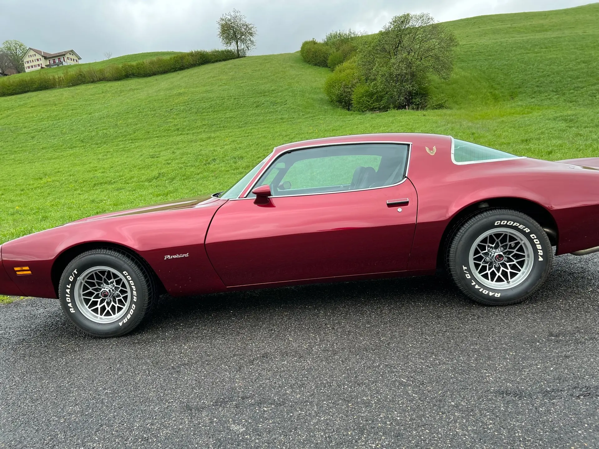 Pontiac Firebird 1980 occasion Wollerau — 2