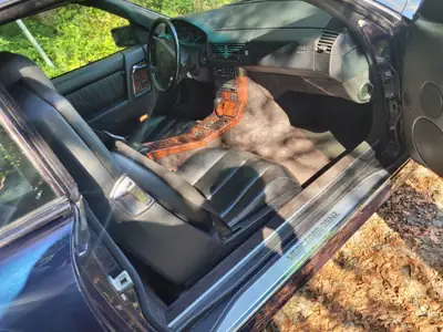 Mercedes-Benz SL 600 — Cabriolet légendaire, 394 ch, kilométrage préservé — arrière
