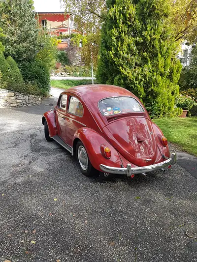 Volkswagen Käfer 1961 — L'icône automobile vintage, moteur d'époque authentique — Außenansicht