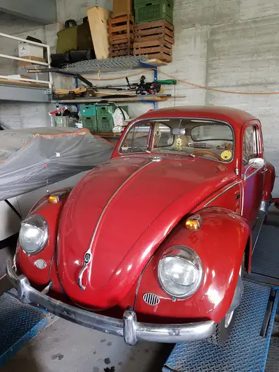 Volkswagen Käfer 1961 — L'icône automobile vintage, moteur d'époque authentique — Seitenansicht