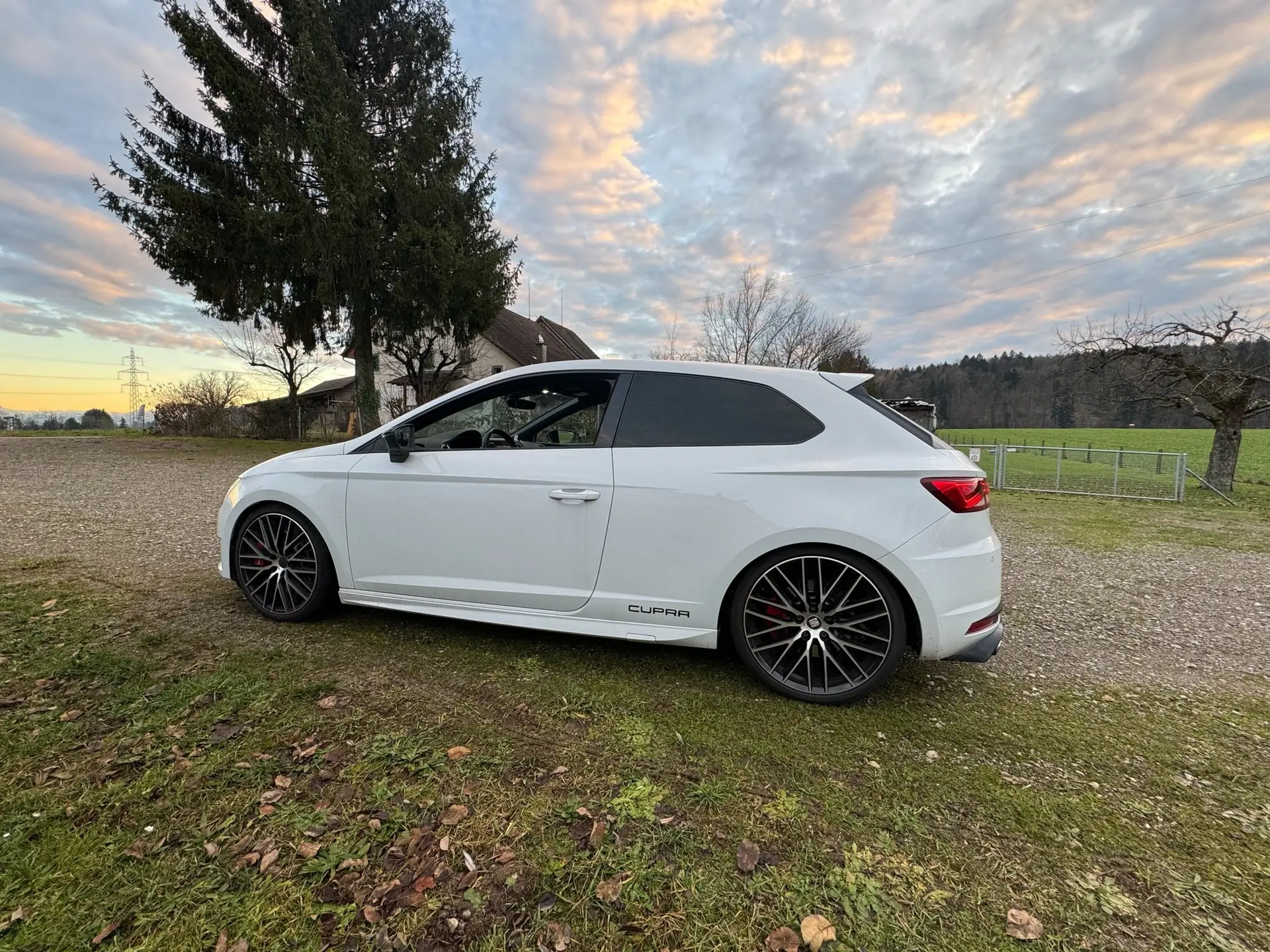 SEAT Leon 2016 occasion Dübendorf — 3