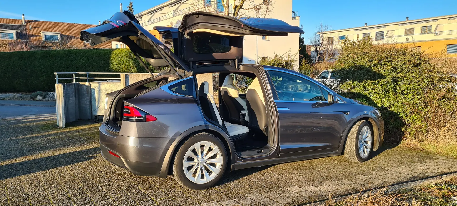 Tesla Model X 2020 occasion Therwil — 3