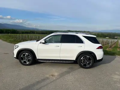Mercedes-Benz GLE 350 d 4Matic — SUV 7 places, diesel efficace, 49 000 km — Heckansicht