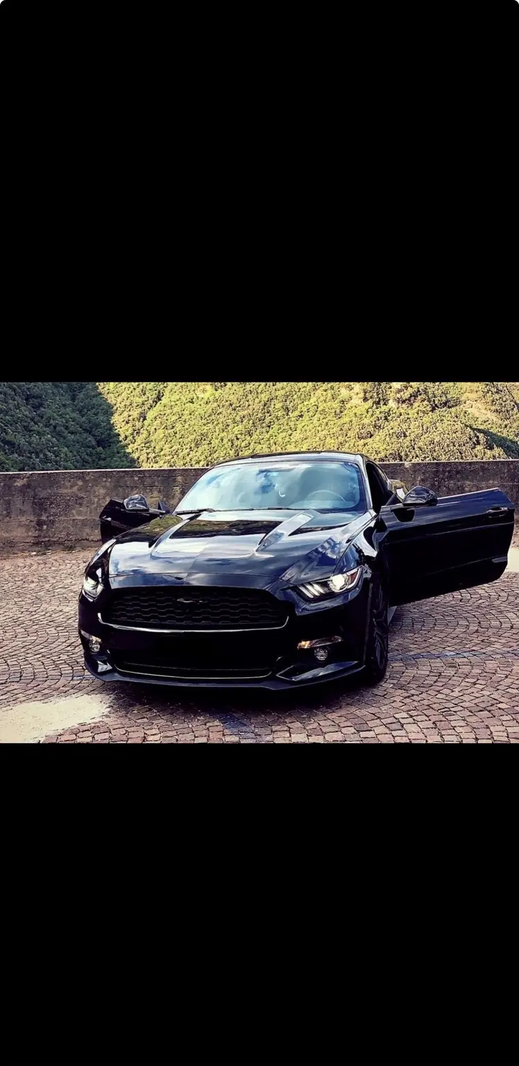 Ford Mustang 2016 occasion Bassersdorf — 2
