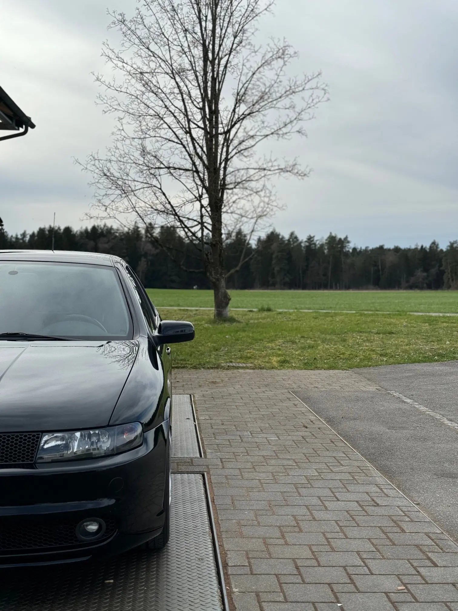 SEAT Leon 2003 occasion Pfäffikon — 4