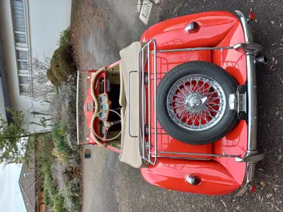MG TF 1956 — Cabriolet anglais classique, seulement 5200 km — arrière