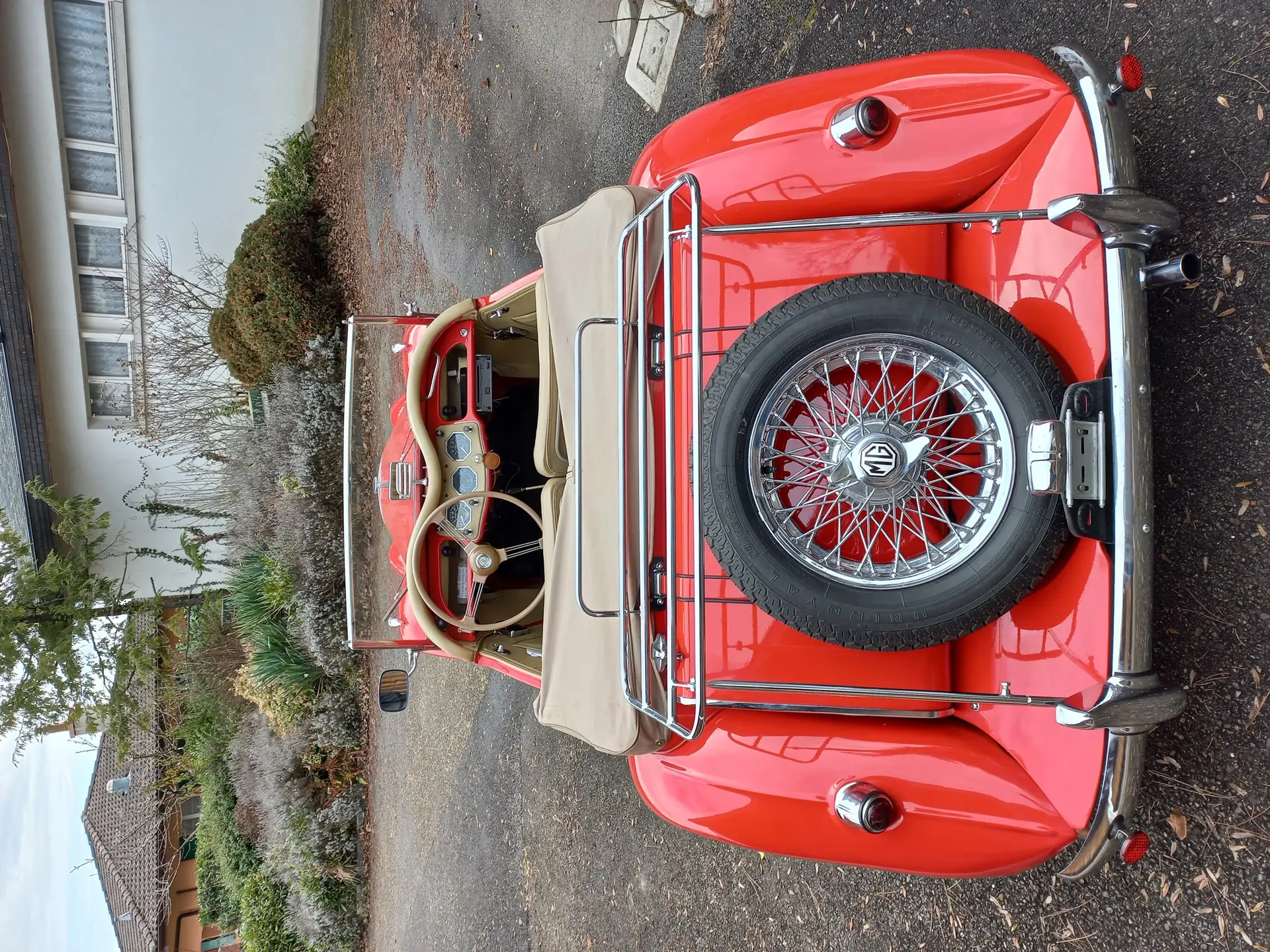 MG Mg Tf 1956 occasion Champagne — 3