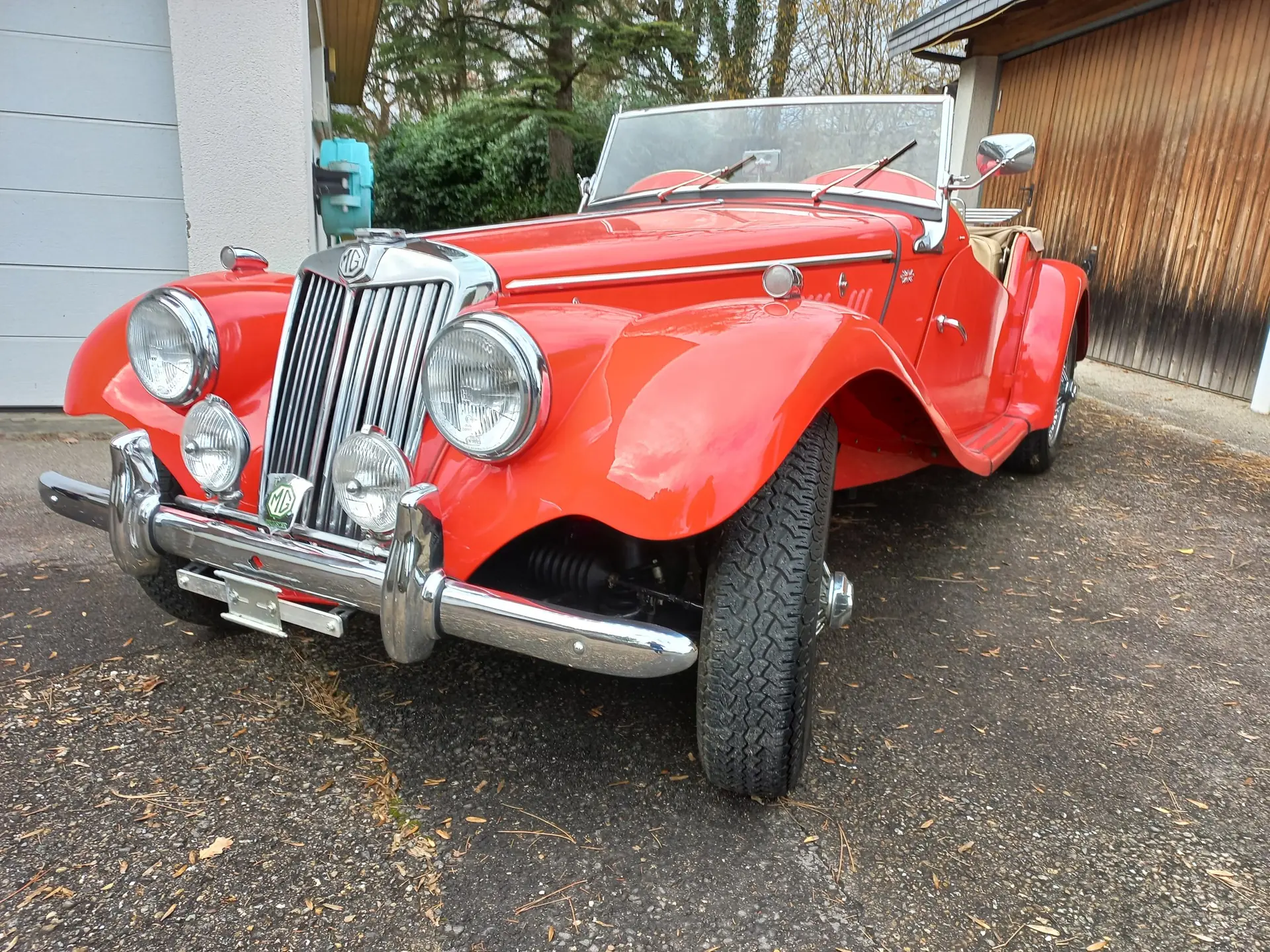 MG Mg Tf 1956 occasion Champagne — 2