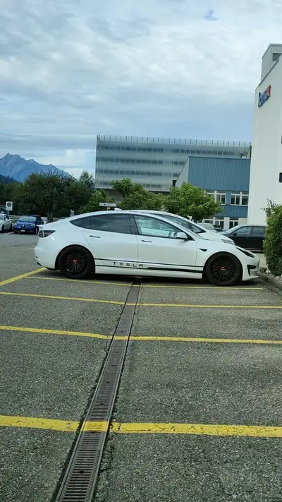 Tesla Model 3 Performance Dual Motor AWD — Sportive électrique, 513 ch et faible kilométrage — rear view