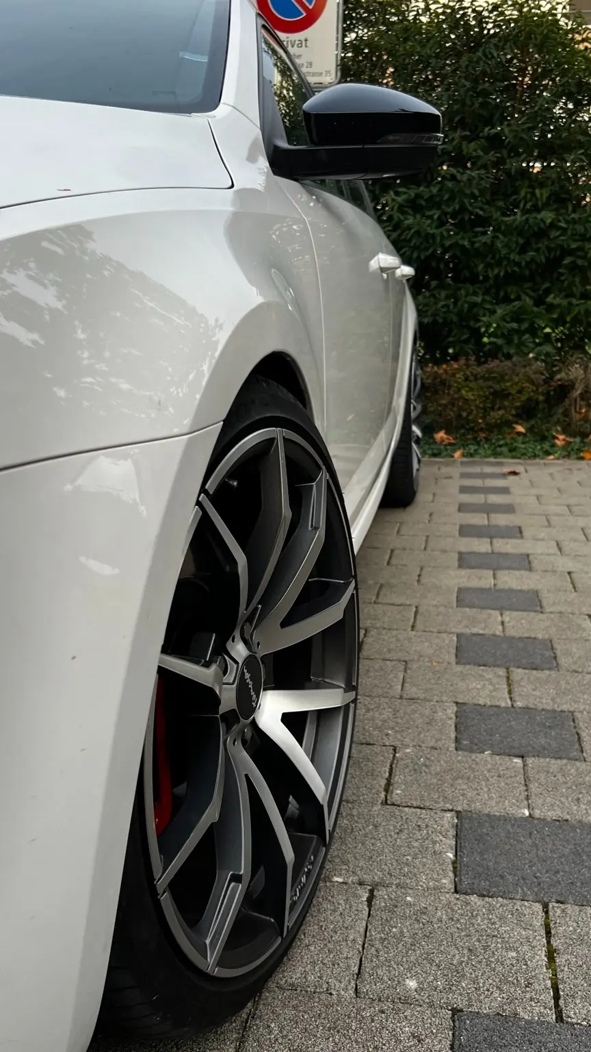 Skoda Octavia 2014 occasion Therwil — 5