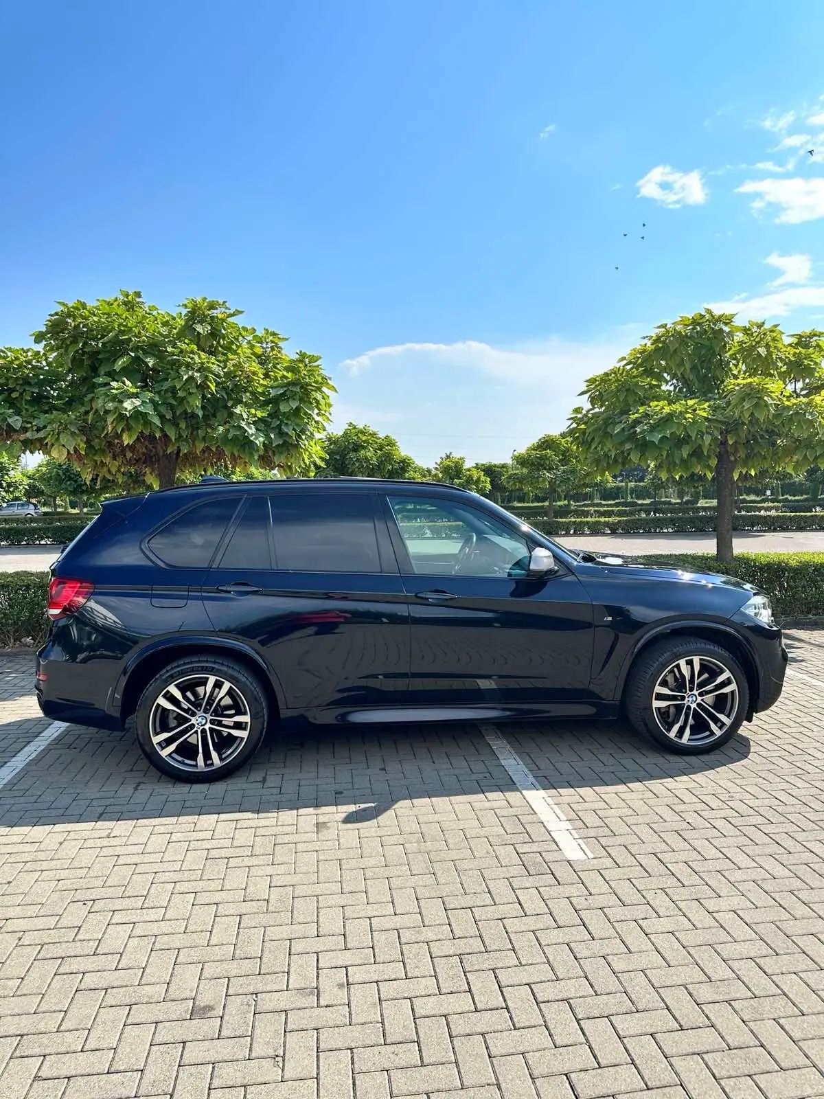 BMW X5 2017 occasion Carouge — 4