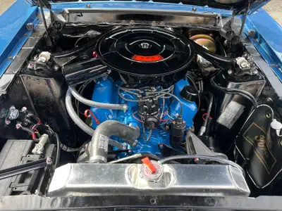Ford Mustang 289 V8 Fastback 1967 — Légende américaine, moteur V8 emblématique — arrière