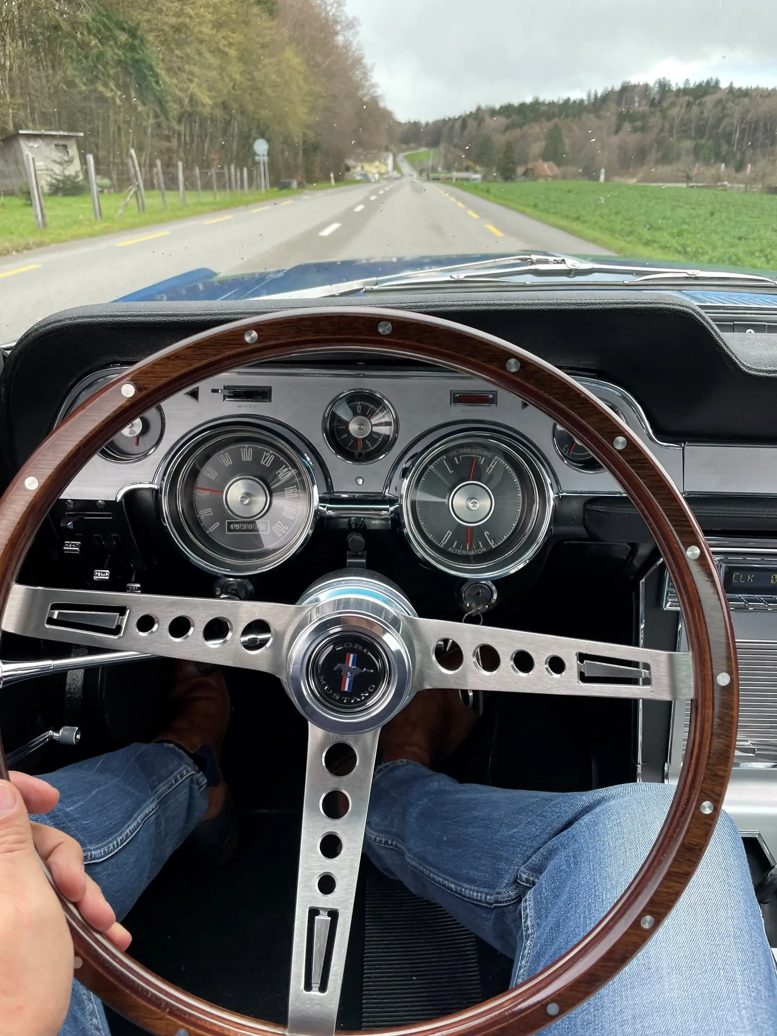 Ford Mustang 1967 occasion Zug — 2