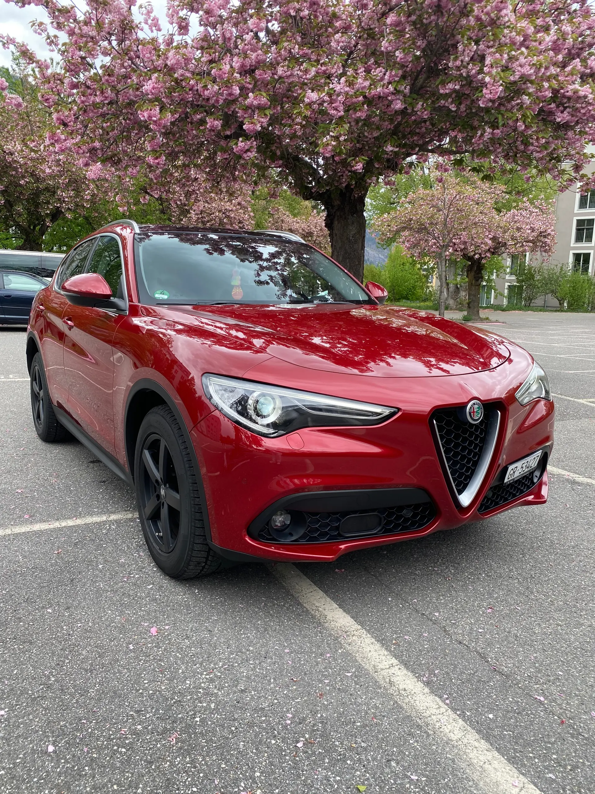 Alfa Romeo Stelvio 2017 occasion Chur — 1