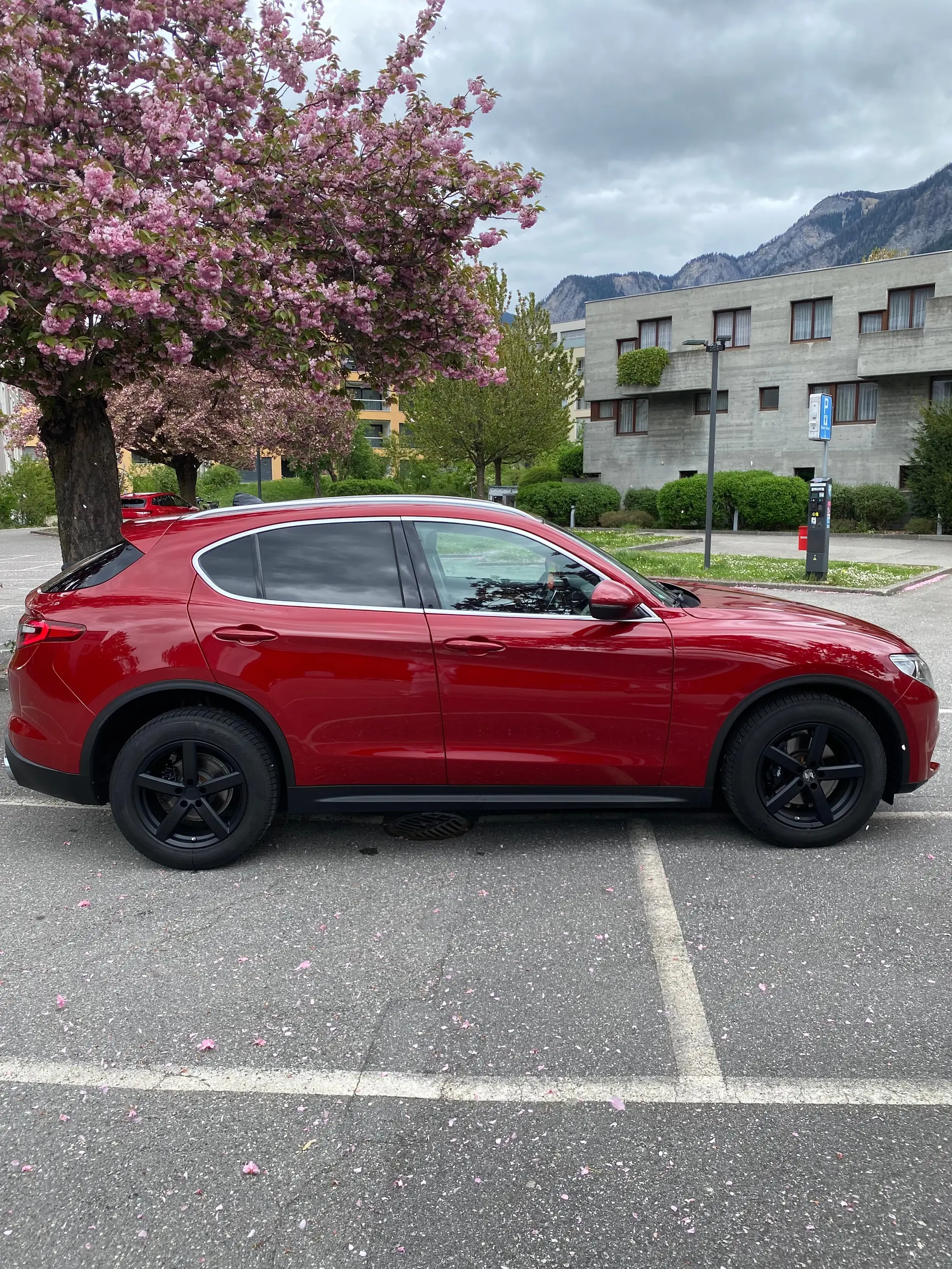 Alfa Romeo Stelvio 2017 occasion Chur — 4