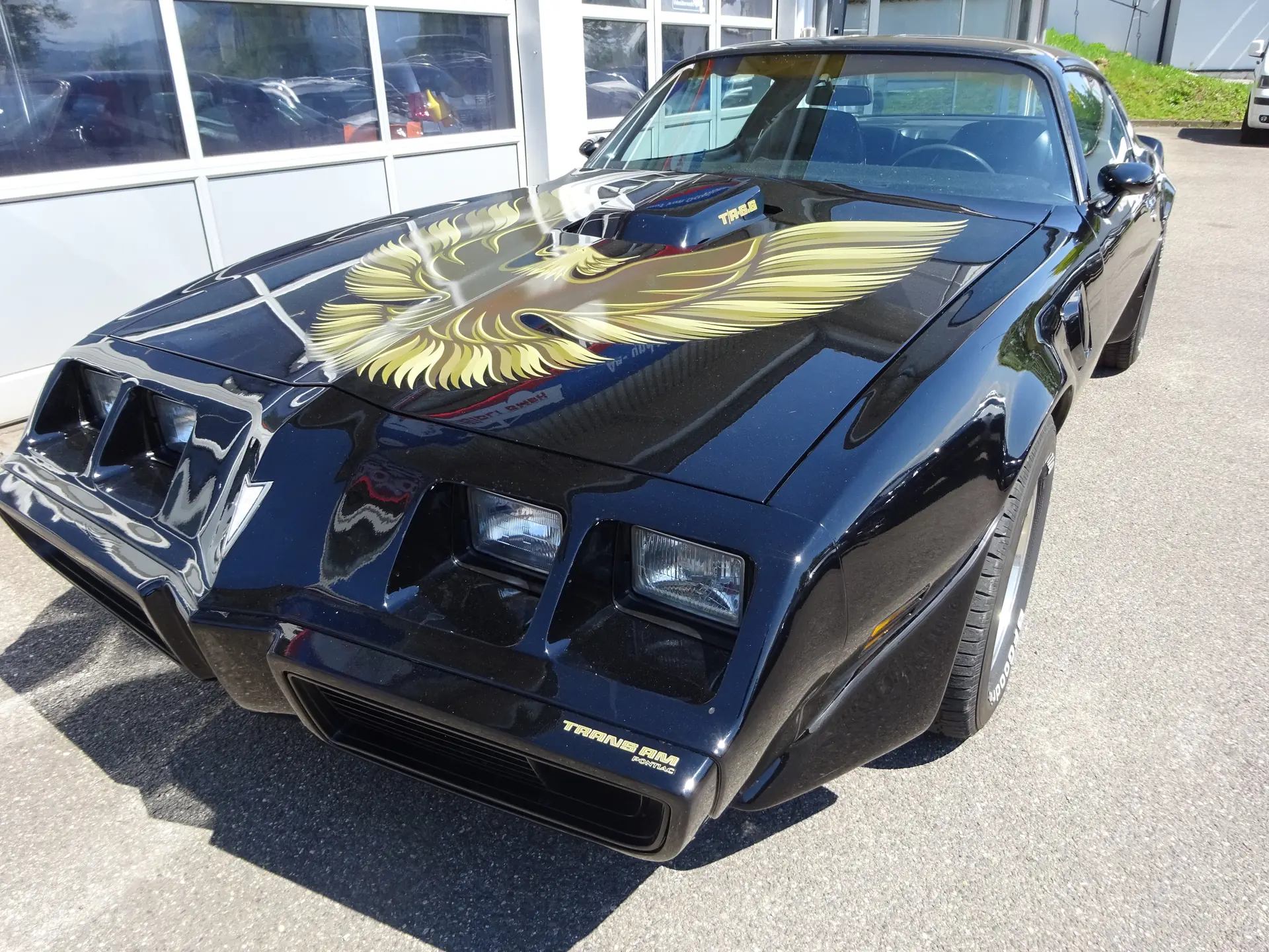 Pontiac 1979 occasion Eich — 1