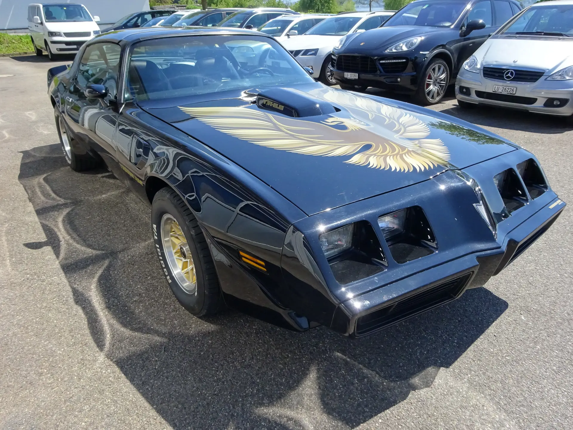 Pontiac 1979 occasion Eich — 4
