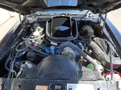 Pontiac Trans Am Targa WS6 1979 — Muscle car américain légendaire, frais du contrôle technique — Thumbnail 11