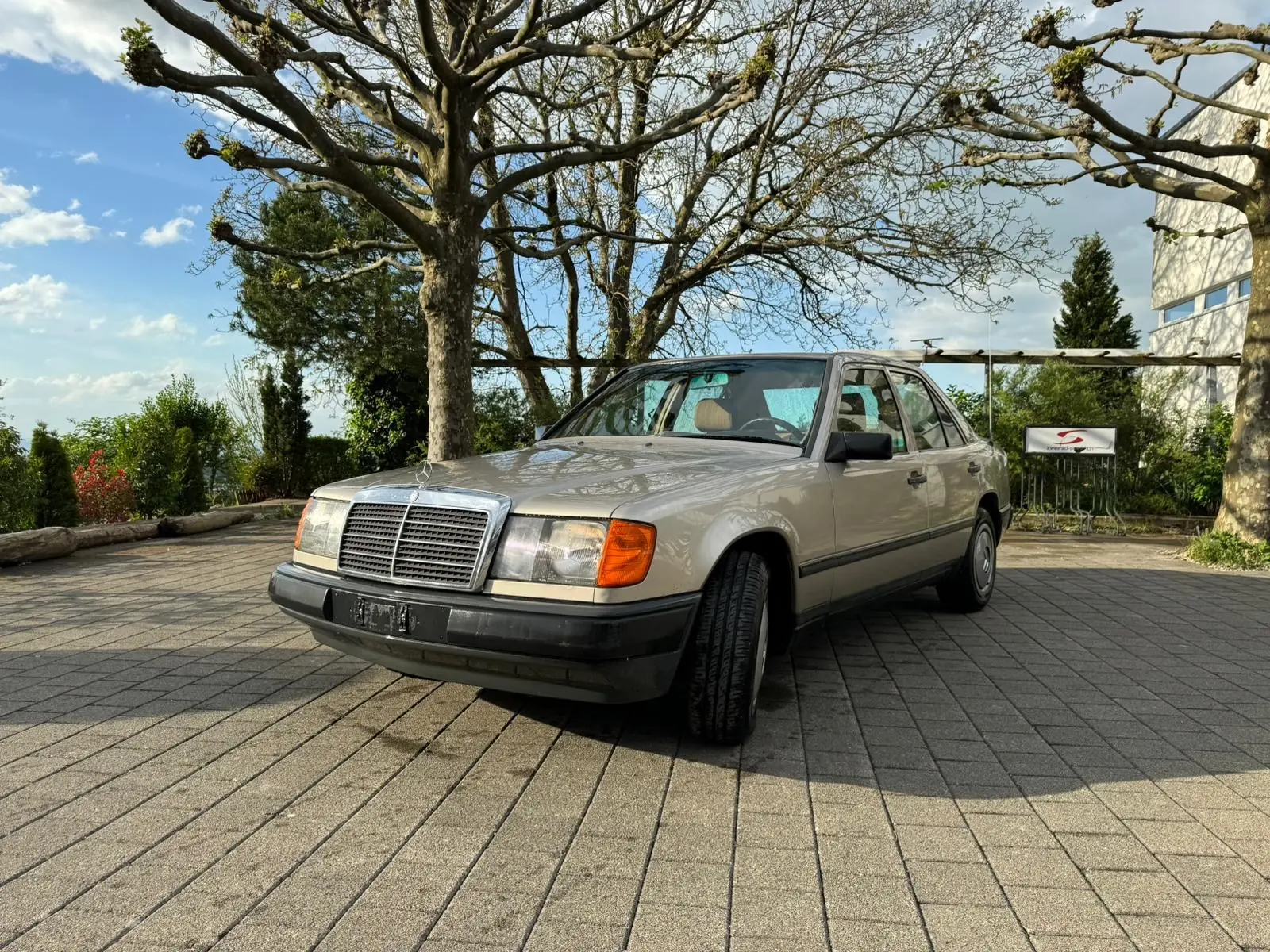 Mercedes-Benz 300 1986 occasion Thal — 4