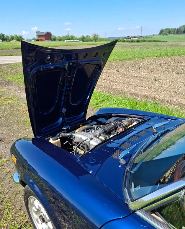 Fiat 124 Spider 1981 occasion Weggis — 5