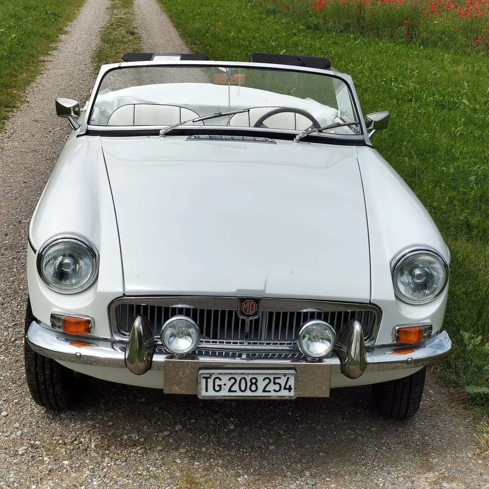 MG Mgb 1967 occasion Kefikon — 3